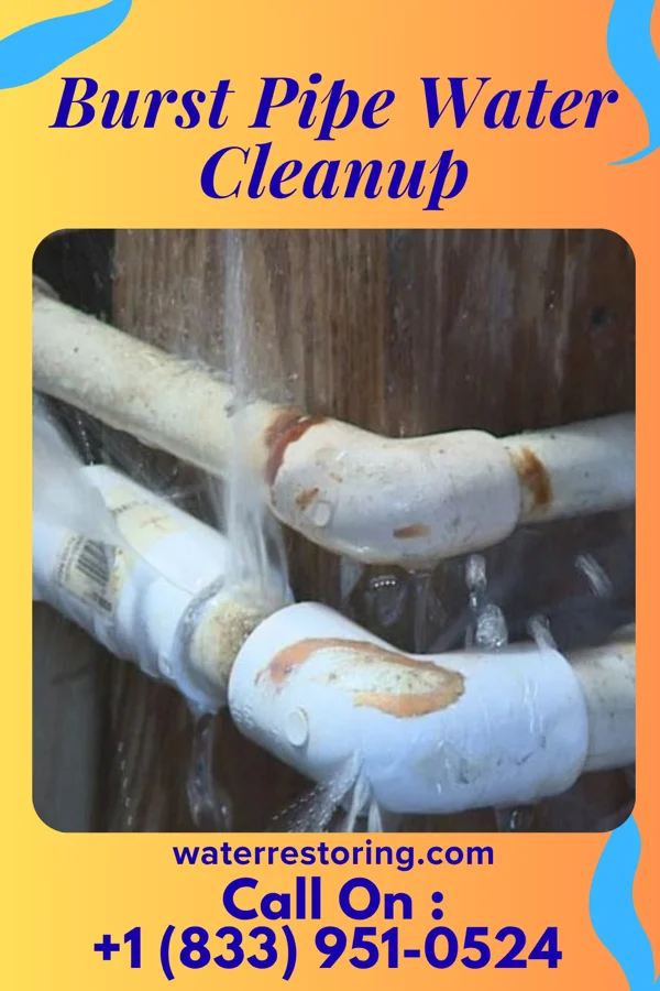 Burst Pipe Water Cleanup in Pennwyn, PA