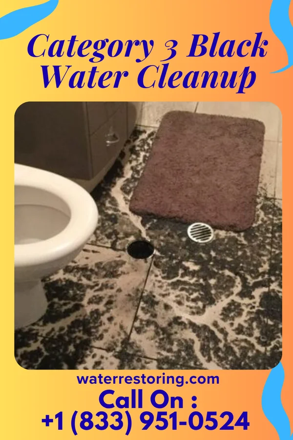 Category 3 Black Water Cleanup in Pennwyn, PA