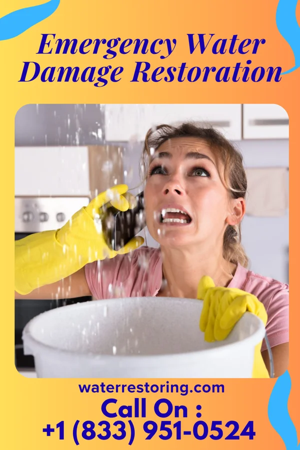 Emergency Water Damage Restoration in Pennwyn, PA