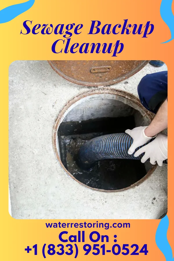 Sewage Backup Cleanup in Pennwyn, PA