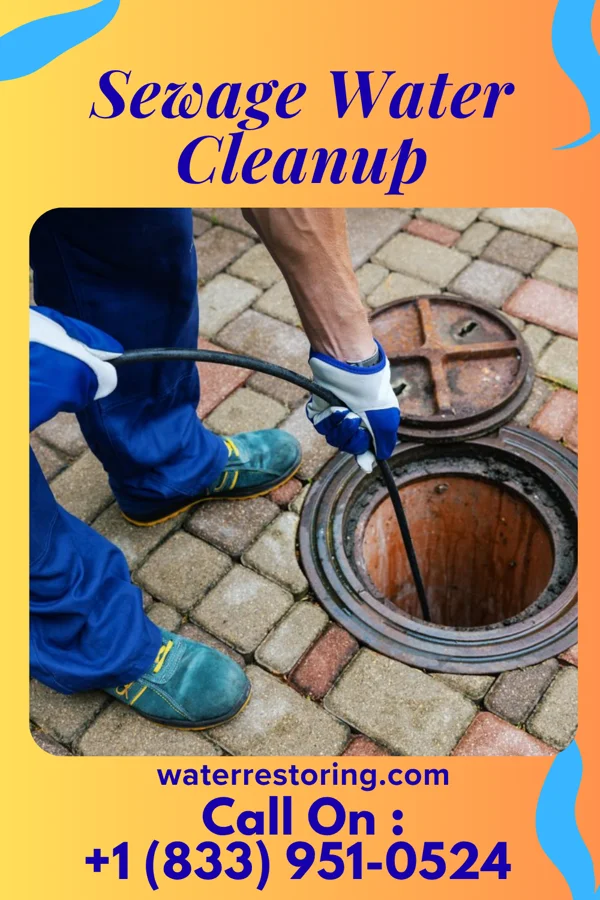 Sewage Water Cleanup in Pennwyn, PA